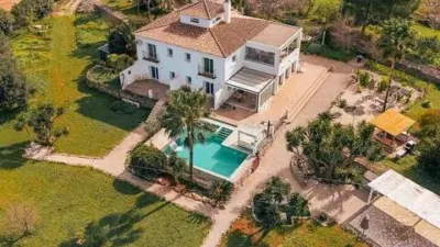 Chalet in Pedreguer photo 66