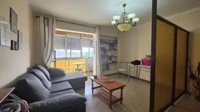 Apartment in Centro-San Felipe-Huerta Fava photo 12