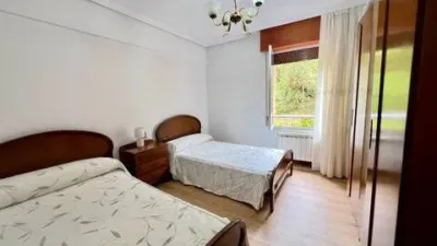 Apartment in Eibar photo 23