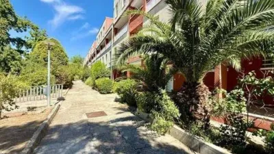 Flat in Covibar-Pablo Iglesias photo 62