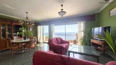 Apartment in Raval Roig photo 6