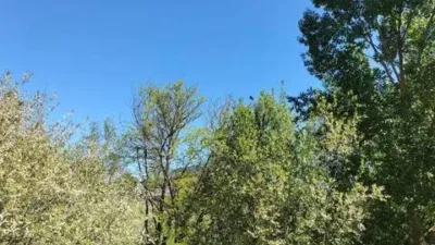 Chalet in Aranda de Duero photo 18