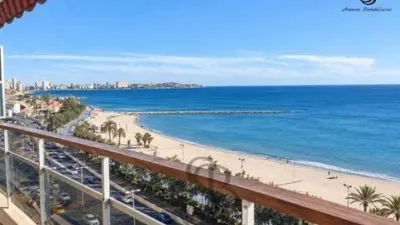 Apartment in Raval Roig photo 5