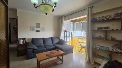 Apartment in Centro-San Felipe-Huerta Fava photo 9