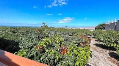 Chalet en Palm-Mar photo 47