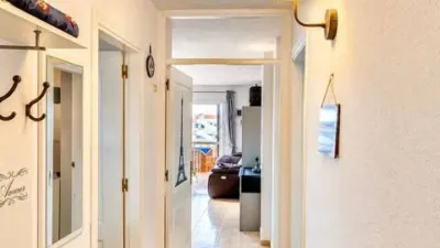 Apartment on Perseo Street photo 3