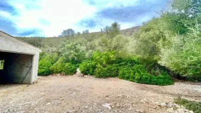 Rustic property in Ciutat d'Alcúdia photo 15