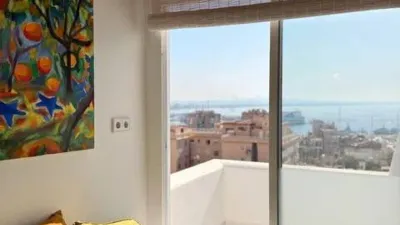 Penthouse in El Terreno photo 35
