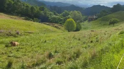 Rustic house at Calle Barrio Pedroso, 5 photo 9