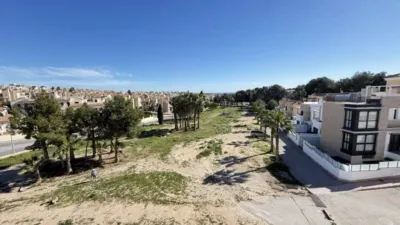 Chalet in Orihuela photo 31