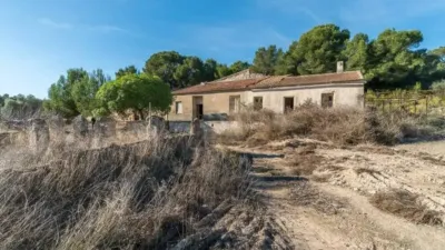 Chalet en Pilar de la Horadada photo 2