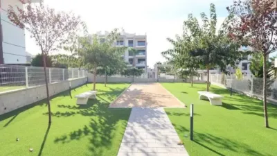 Piso en Orihuela photo 23
