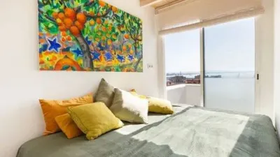Penthouse in El Terreno photo 34