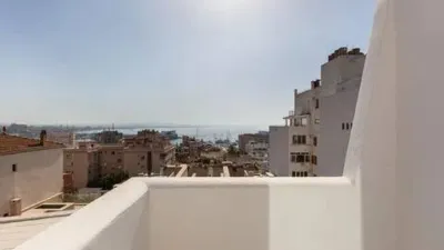 Penthouse in El Terreno photo 37