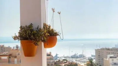 Penthouse in El Terreno photo 4