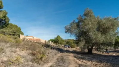 Chalet en Pilar de la Horadada photo 5