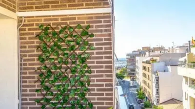 Apartment in Centro photo 19