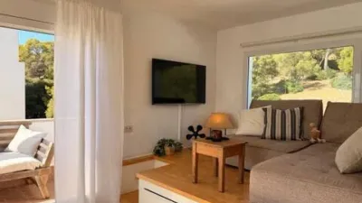 Penthouse in El Terreno photo 29