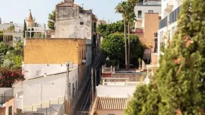 Penthouse in El Terreno photo 39