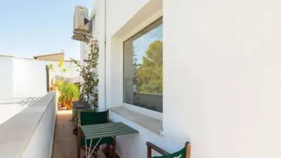 Penthouse in El Terreno photo 32