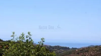Apartment in Frigiliana photo 2