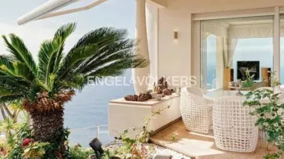 Chalet in La Orotava photo 11