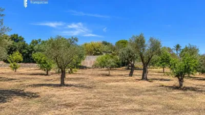 Rustic house in Palma de Mallorca photo 33