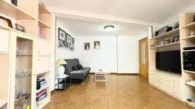 Apartment in Crevillent photo 7