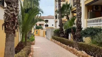 Piso en Playa de los Locos-Los Frutales-Cabo Cervera photo 13