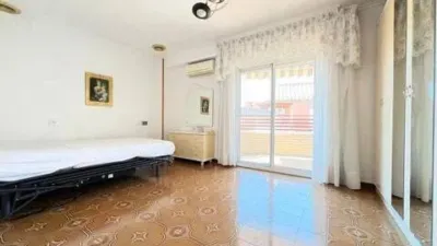 Apartment in Crevillent photo 10