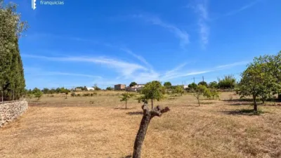 Rustic house in Palma de Mallorca photo 34