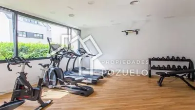 House in La Moraleja photo 39