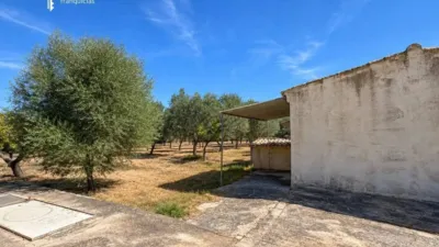 Rustic house in Palma de Mallorca photo 30
