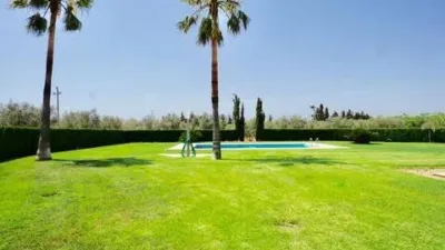 Rustic house in Palma de Mallorca photo 15