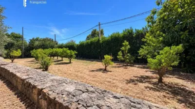 Rustic house in Palma de Mallorca photo 32