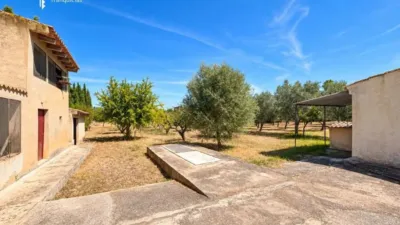 Rustic house in Palma de Mallorca photo 31