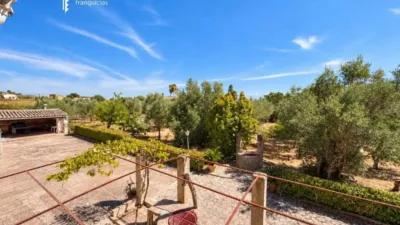Rustic house in Palma de Mallorca photo 27