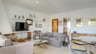 Apartment in La Pineda photo 9
