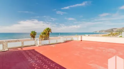Apartment in Baixador photo 6