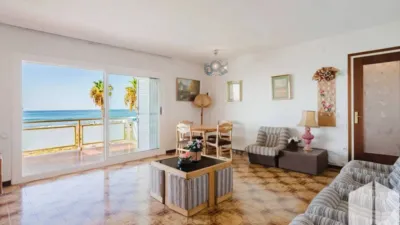 Apartment in Baixador photo 16
