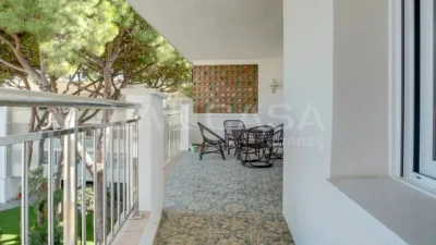 Apartment in La Pineda photo 33