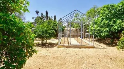 Rustic house in Palma de Mallorca photo 59