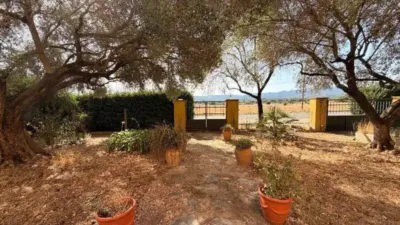 Chalet in Sant Sadurní de l'Heura photo 28