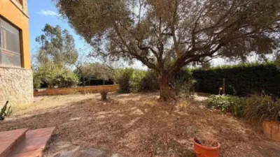 Chalet in Sant Sadurní de l'Heura photo 29