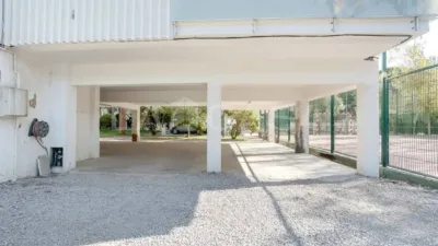 Apartment in La Pineda photo 5