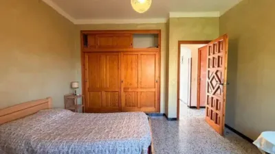 Chalet in Sant Sadurní de l'Heura photo 23