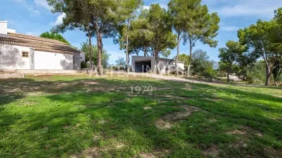 Chalet on Calle del Barranquet photo 58