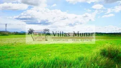 Rustic house in Muro photo 8