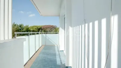 Apartment in La Pineda photo 38