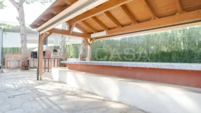 Apartment in La Pineda photo 4